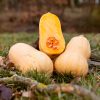 La Ferme du Sous-Bois, agriculture raisonnée et durable à Saint-Martin-en-Haut | Butternut