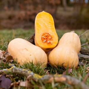 La Ferme du Sous-Bois, agriculture raisonnée et durable à Saint-Martin-en-Haut | Butternut