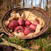 La Ferme du Sous-Bois, agriculture raisonnée et durable à Saint-Martin-en-Haut | Betteraves cuites