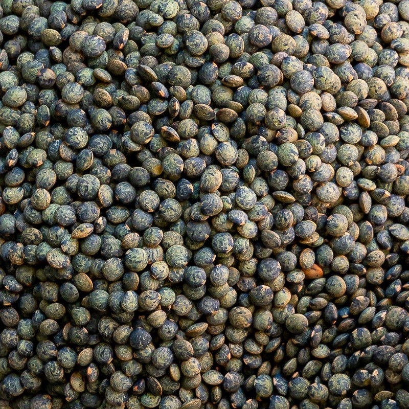 La Ferme du Sous-Bois, agriculture raisonnée et durable à Saint-Martin-en-Haut | Lentilles vertes