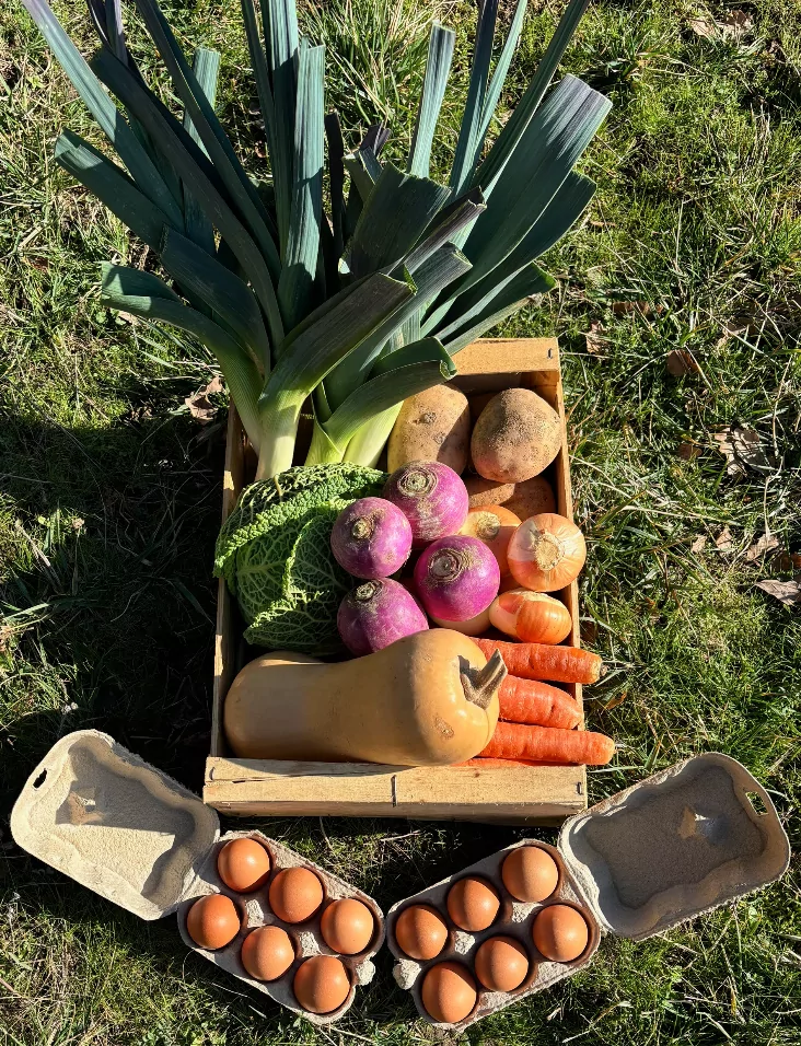 Panier de légumes de Février